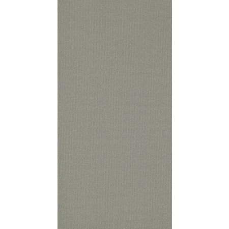 Philadelphia Commercial Color Accents 18 X 36 Cement