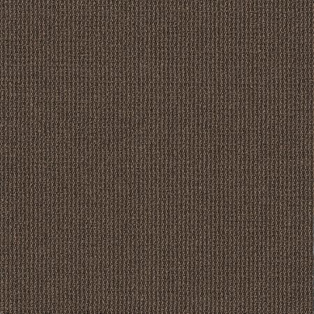 Philadelphia Commercial Dateline Today Anchors