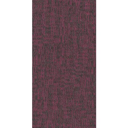 Philadelphia Commercial Beyond Basic Crazy Smart Hotshot