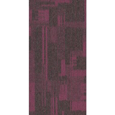 Philadelphia Commercial Beyond Basic Pure Attitude Hotshot