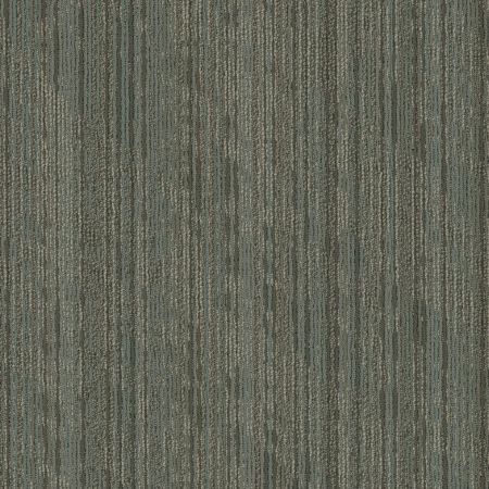 Shaw Floors Take Shape Collection Sort Pleat