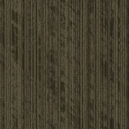 Shaw Floors Take Shape Collection Sort Wrap