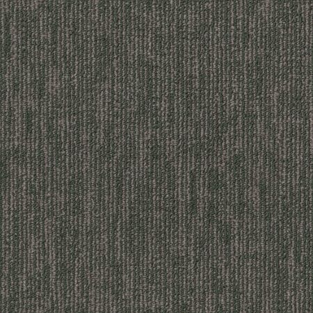 Philadelphia Commercial Fundamental Collection Engrain Primitive