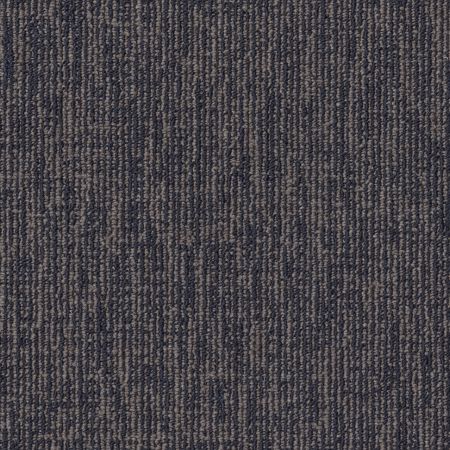 Philadelphia Commercial Fundamental Collection Engrain Primary