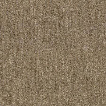 Shaw Floors Beyond Limits Plateau