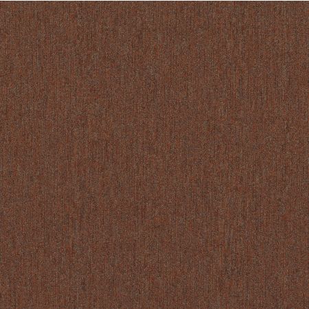 Shaw Floors Beyond Limits Terra