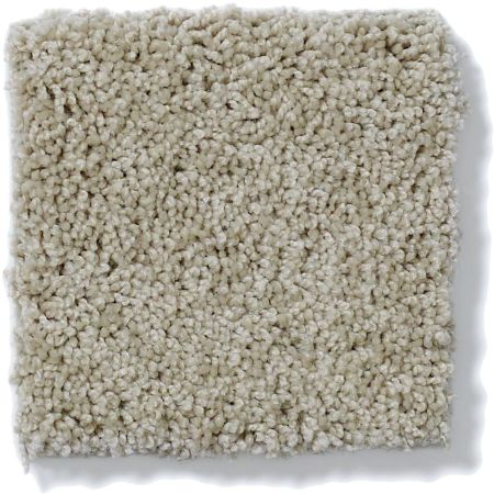 Shaw Floors Shaw Flooring Gallery Inspired By II Bare Essence