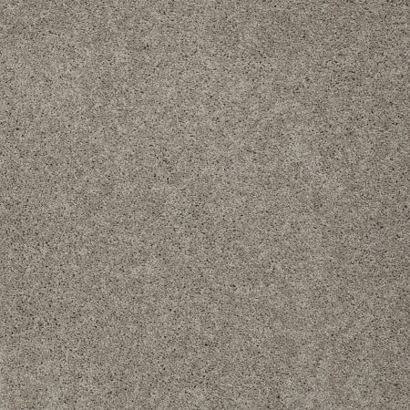 Shaw Floors Inspired By III Latt?