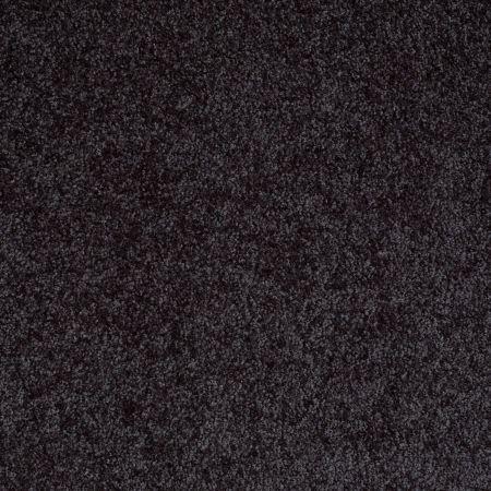 Shaw Floors Shaw Flooring Gallery Premier Role Nightfall Navy