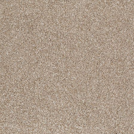 Shaw Floors Shaw Flooring Gallery Perfectly Timed Mole Hill