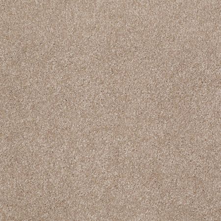 Shaw Floors Shaw Flooring Gallery Beautifully Simple Havana