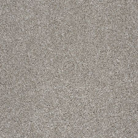 Shaw Floors Shaw Flooring Gallery Beautifully Simple Cocoa