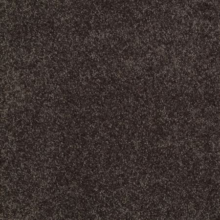 Shaw Floors Shaw Flooring Gallery Lucky You Cabot Trail