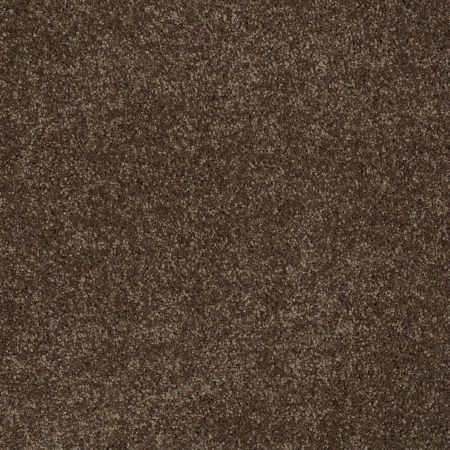 Shaw Floors Shaw Flooring Gallery Lucky You Sedona