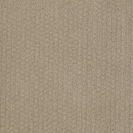 Shaw Floors Shaw Flooring Gallery Troon North Hiking Trail