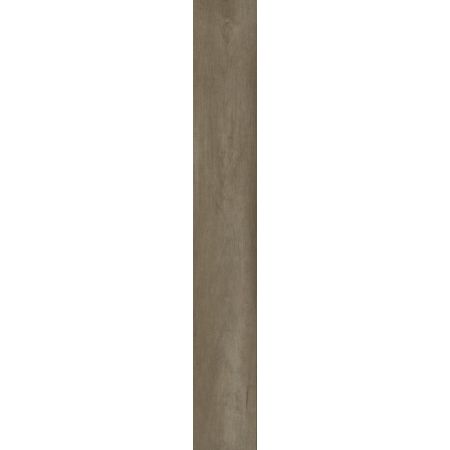 Philadelphia Commercial Resilient Commercial Philosopher's Tree River Rock