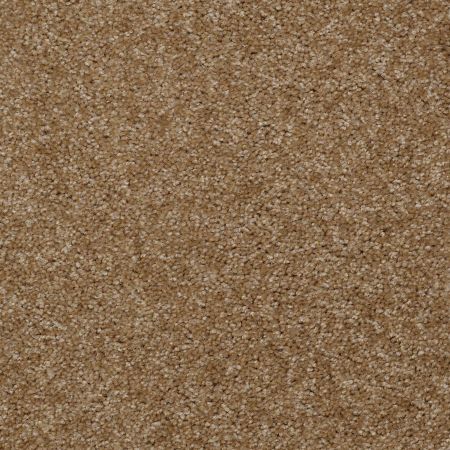 Shaw Floors Shaw Design Center Rose Creek Chino