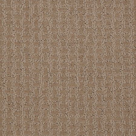 Shaw Floors Shaw Design Center Towne Crest Mushroom