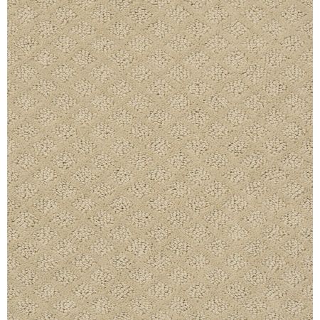 Shaw Floors Shaw Design Center Townelake Frost