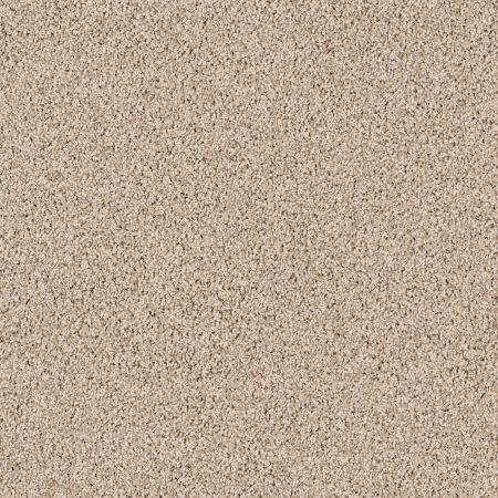 Shaw Floors Shaw Design Center Winters Home Storm