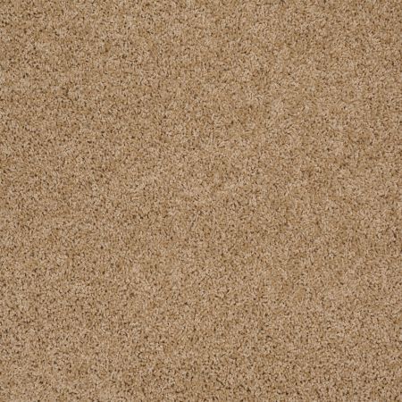 Shaw Floors Shaw Design Center Winters Home Filoli Honey