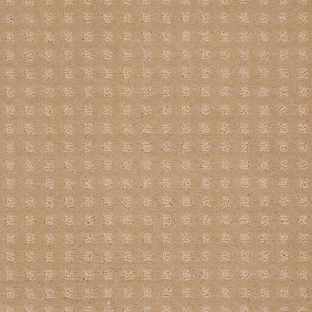 Shaw Floors Shaw Design Center New Home Place Natural Grain