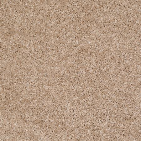 Shaw Floors Shaw Design Center Kentland 12' Macaroon