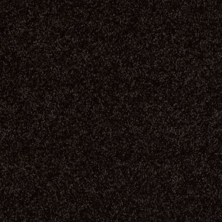 Shaw Floors Shaw Design Center Royal Portrush II 12' Armour