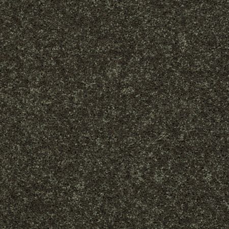 Shaw Floors Shaw Design Center Royal Portrush III 12' Garden Grove