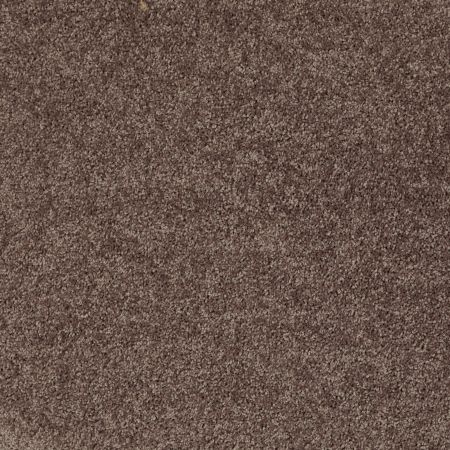 Shaw Floors Shaw Design Center Royal Portrush III 12' Molasses