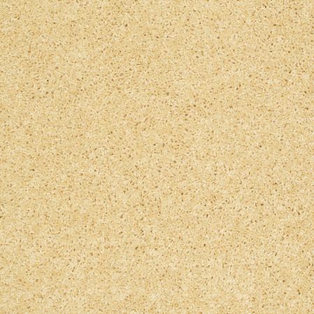 Shaw Floors Shaw Design Center Kid Crazy Lemon Drop