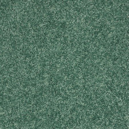 Shaw Floors Shaw Design Center Kid Crazy Leap Frog