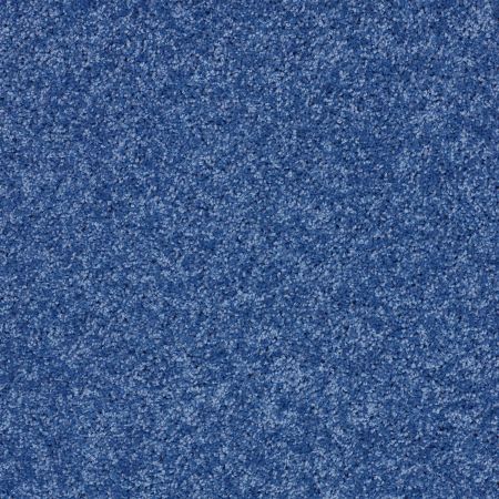 Shaw Floors Shaw Design Center Kid Crazy Cobalt Vibe