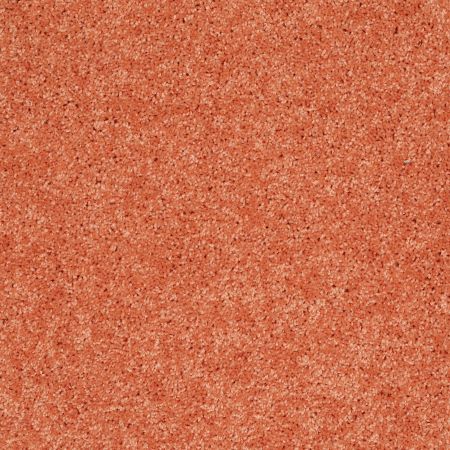 Shaw Floors Shaw Design Center Kid Crazy Tangerine Twist