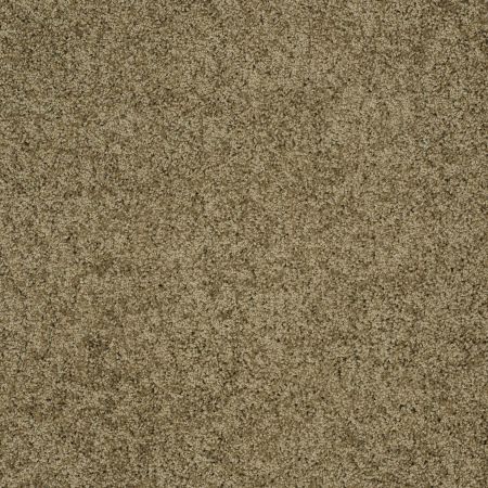 Shaw Floors Shaw Design Center Luxury Bay III Summerhouse