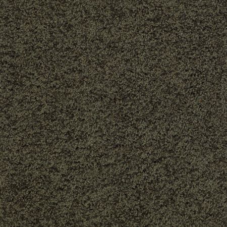 Shaw Floors Shaw Design Center Luxury Bay III Magic Emerald