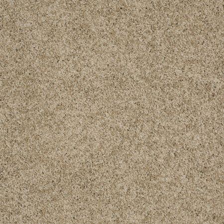 Shaw Floors Shaw Design Center Luxury Bay III Driftwood