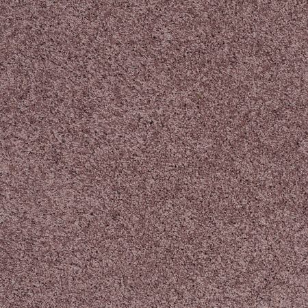 Shaw Floors Shaw Design Center Luxury Bay III Grape Fizz