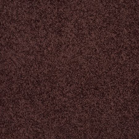 Shaw Floors Shaw Design Center Luxury Bay III Plum Delight
