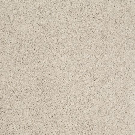 Shaw Floors Shaw Design Center Best Basics Canvas