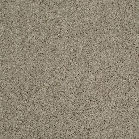 Shaw Floors Shaw Design Center Best Basics Gray Flannel