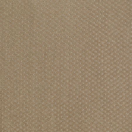 Shaw Floors Shaw Design Center Take Off Prairie