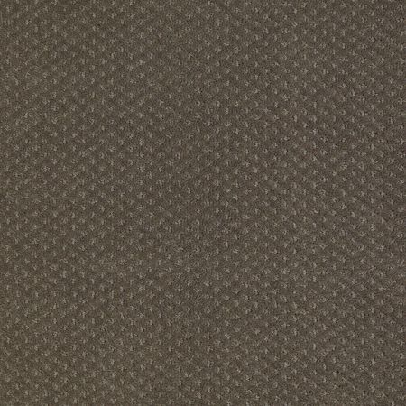 Shaw Floors Shaw Design Center Take Off Graphite