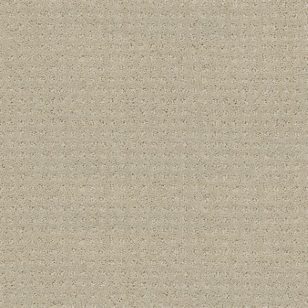 Shaw Floors Shaw Design Center My Destination Pattern Textured Canvas