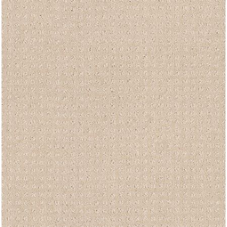 Shaw Floors Shaw Design Center My Destination Pattern Bare Essence