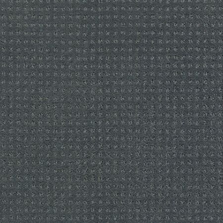 Shaw Floors Shaw Design Center My Destination Pattern Atmosphere