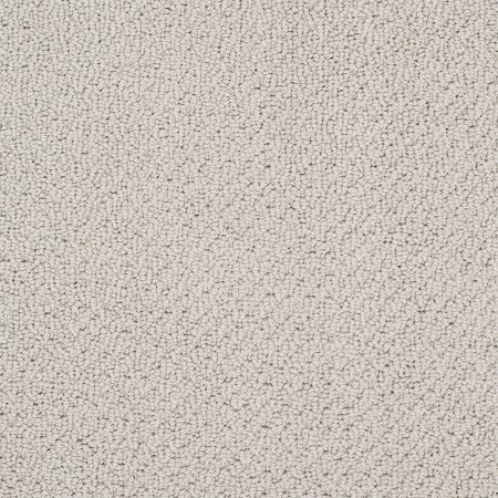 Shaw Floors Shaw Design Center True Reflections Loop Textured Canvas