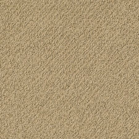 Shaw Floors Shaw Design Center True Reflections Loop Cappuccino