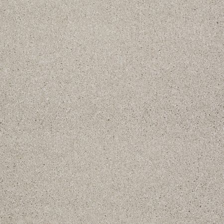 Shaw Floors Shaw Design Center Moment Of Truth Soft Chamois