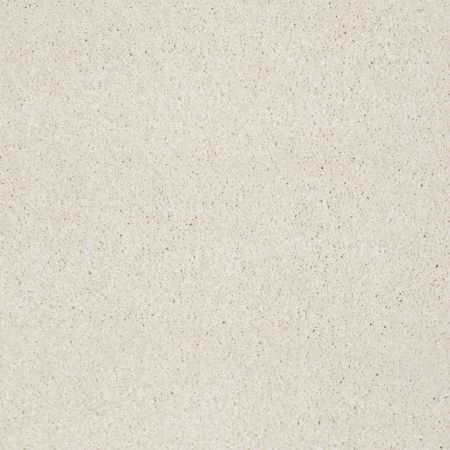 Shaw Floors Shaw Design Center Fantastical Sandy Shore